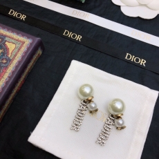 Christian Dior Earrings